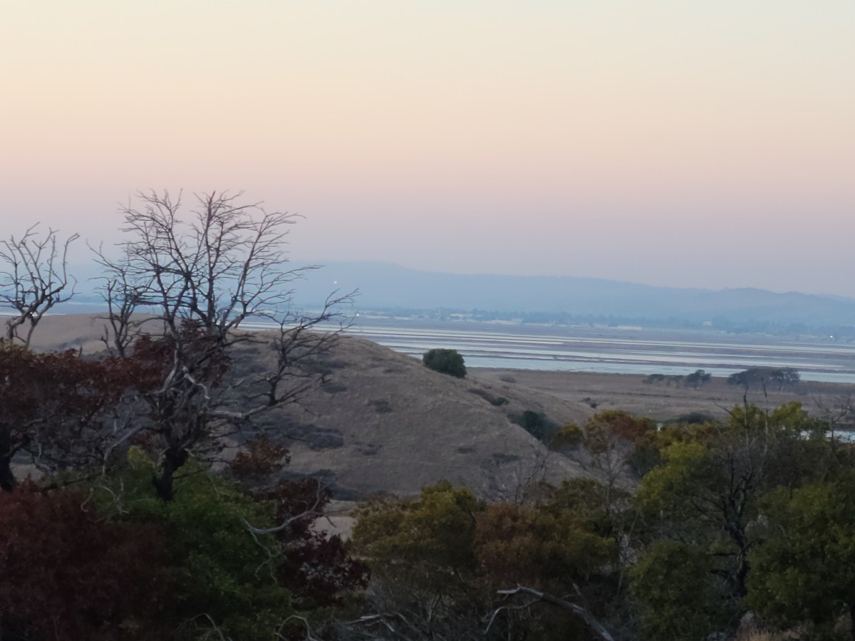 Coyote Hills
